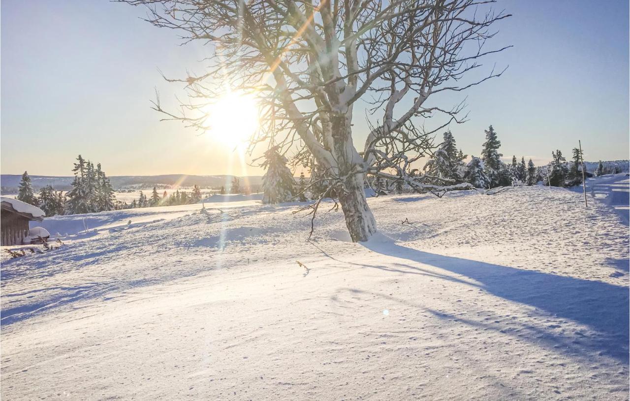 Beautiful In Sjusjoen